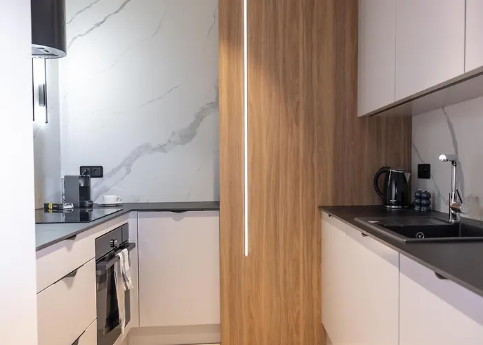 Easy Rent- The Wieniawski, Centrum, Free Parking Apartment